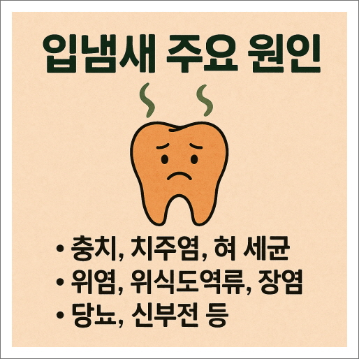 입냄새 주요 원인