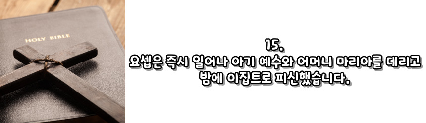 이집트로 피난 (마태 2,13-15)_성모 마리아의 7가지 고통