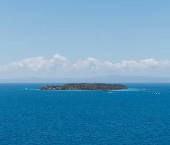 세부 다이빙 완벽 가이드: 초보부터 베테랑까지