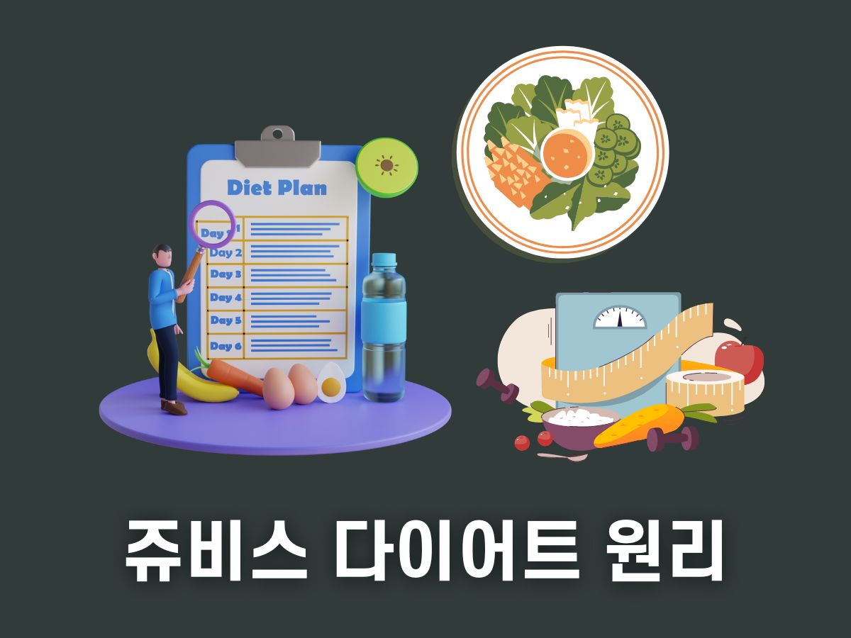 쥬비스 다이어트 원리