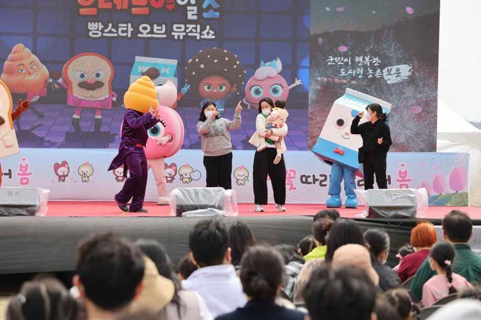 보은 벚꽃길 축제 2026 완벽 가이드