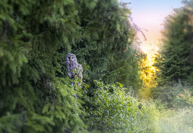 레이키 성장 시키기