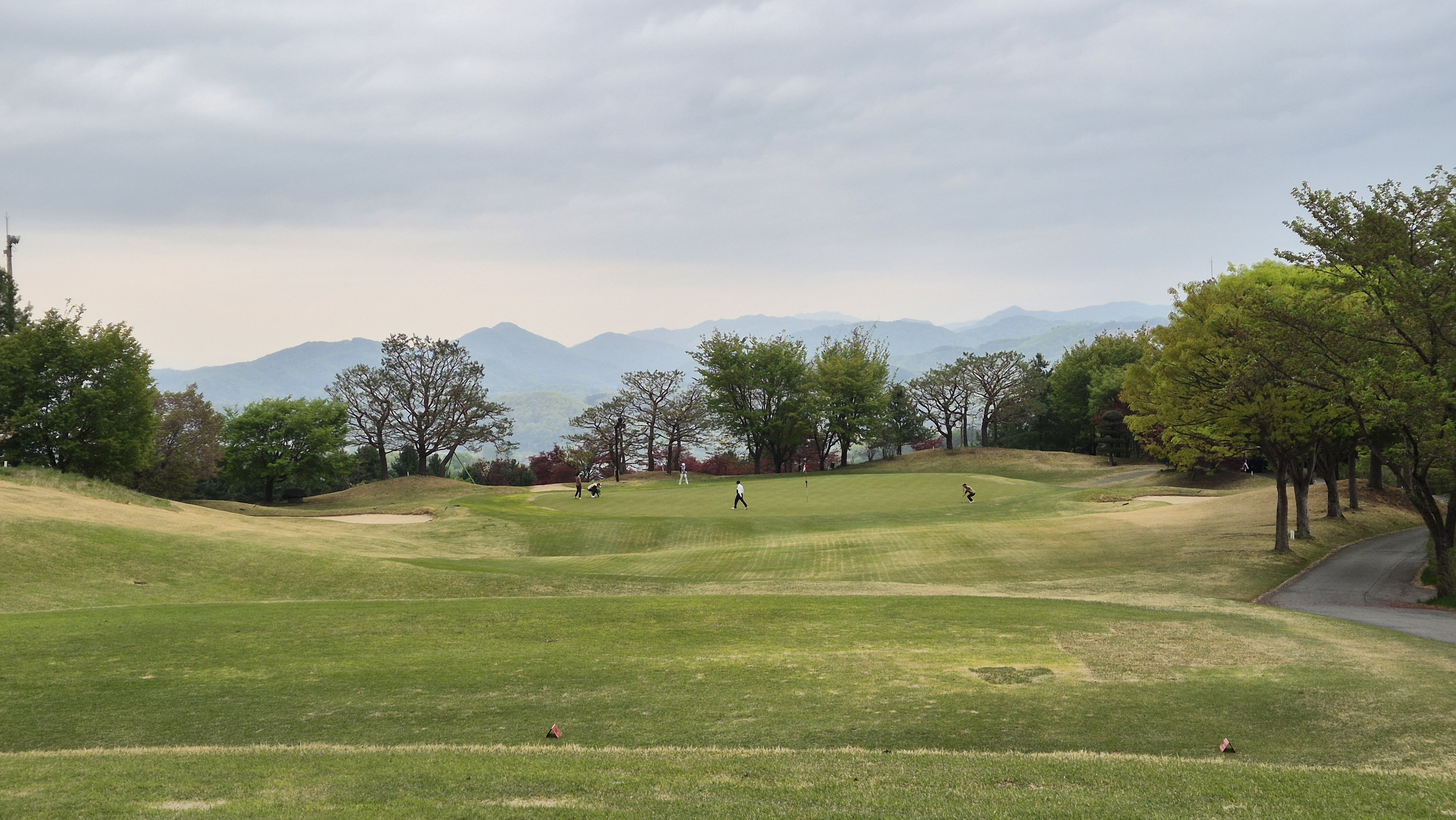 시그너스cc 코튼-라미 코스 사진 및 공략 정보