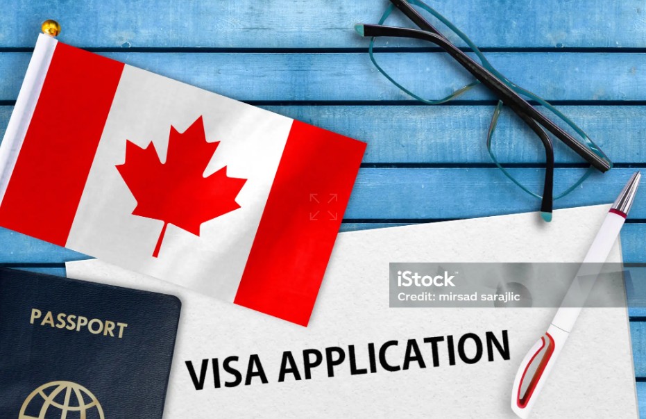 캐나다 스타트업 비자 전망