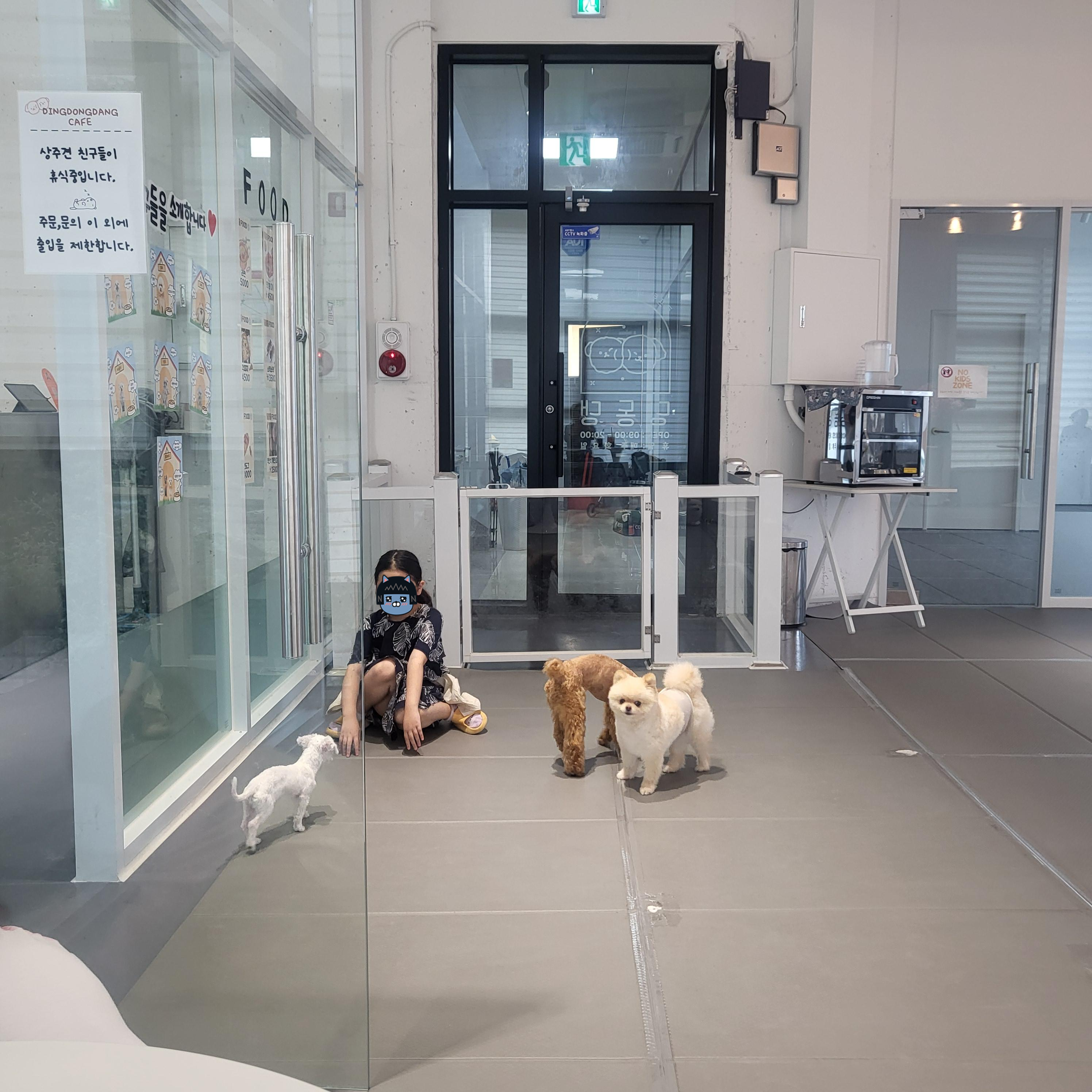 울산 애견 카페(딩동댕 애견카페)