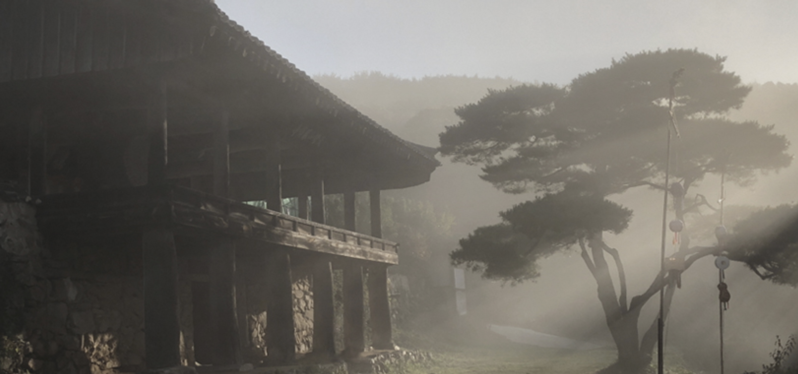 국내여행지 안동 봉정사 3