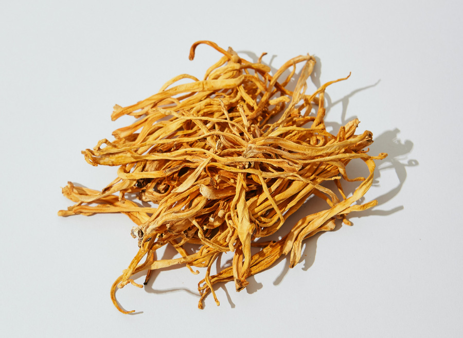 야생에서 채취를 한 동충하초를 깨끗하게 세척을 하고 건조시킨 것을 하얀 바닥 위에 수북하게 놓아두고 찍은 사진
