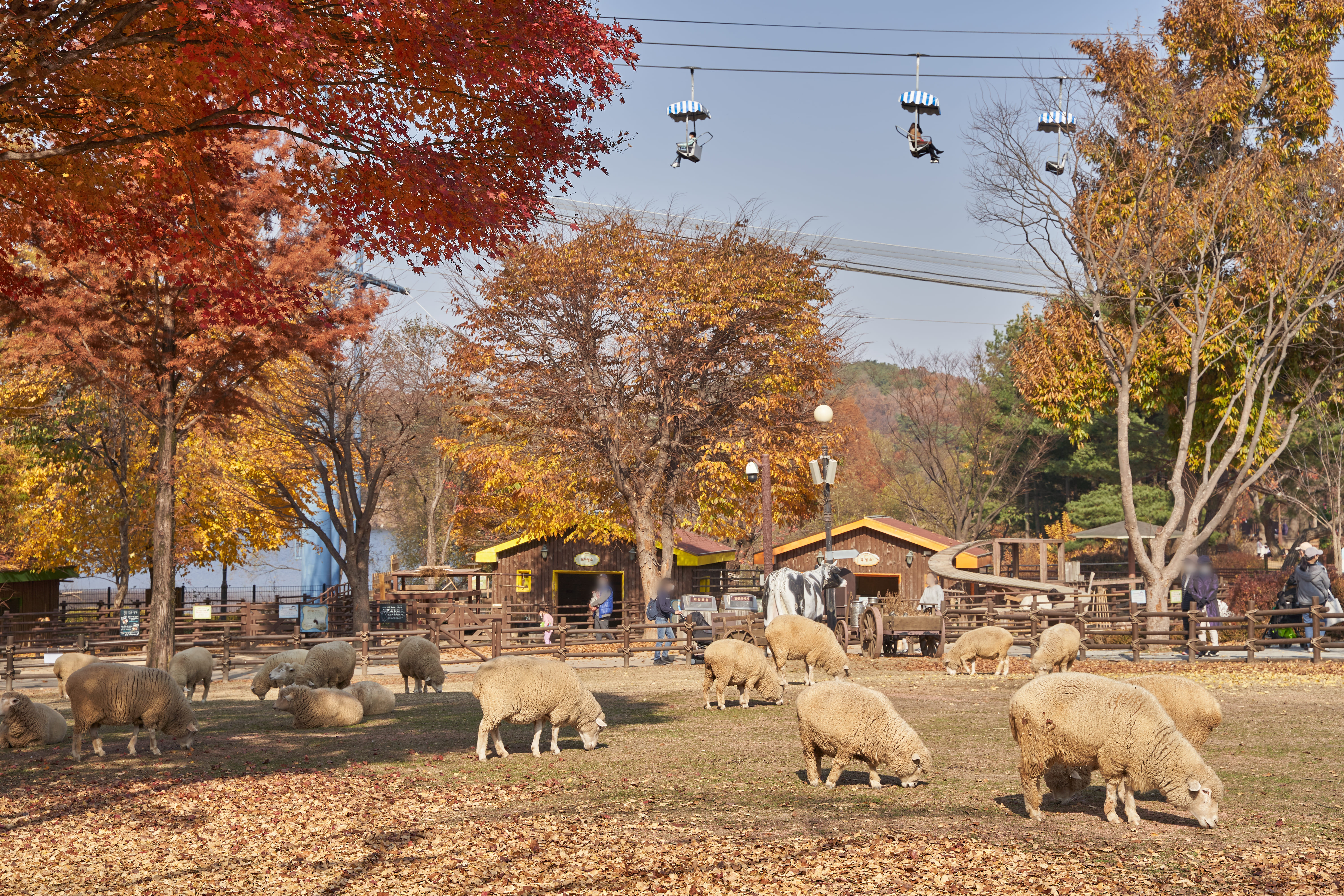 서울대공원