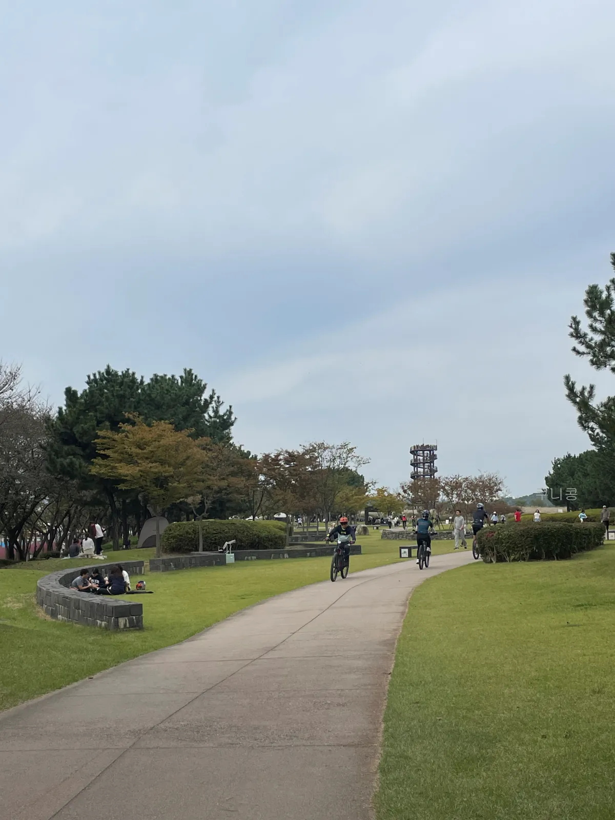 서울-근교-나들이-가볼만한곳-추천-억새-코스모스-시흥갯골생태공원-무료-주차-꿀팁