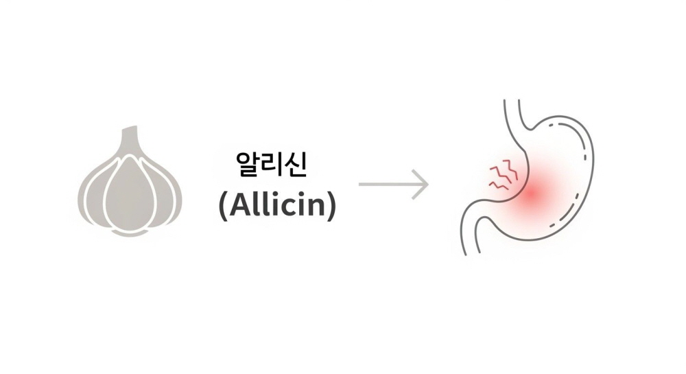 마늘 속쓰림