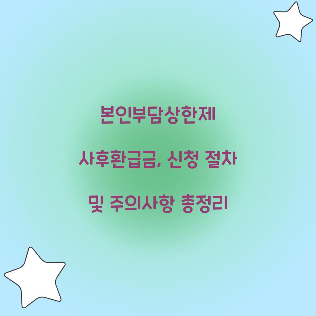 본인부담상한제 사후환급금