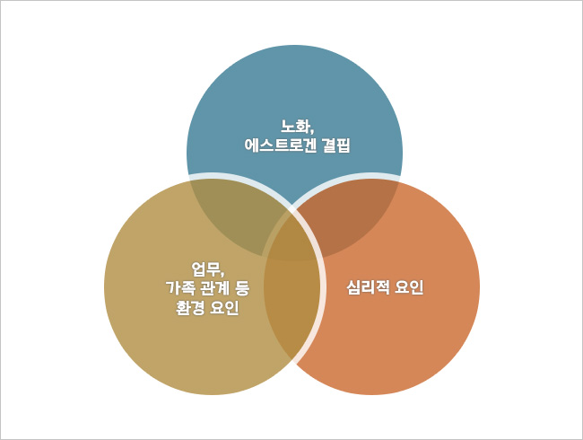 갱년기-장애-발현-인자