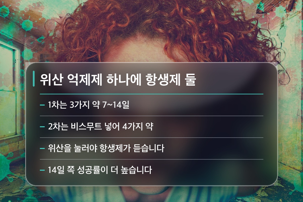 헬리코박터 제균 치료 헬리코박터 제균 치료 약은 어떻게 구성되나요?
