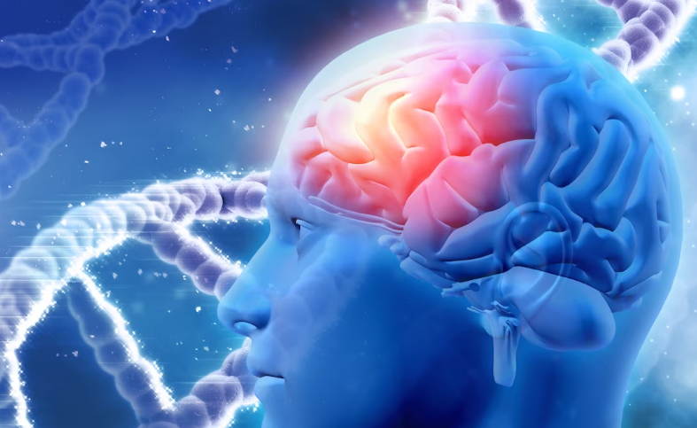 소리없이 오는 뇌종양 증상을 알아보고 예방해요