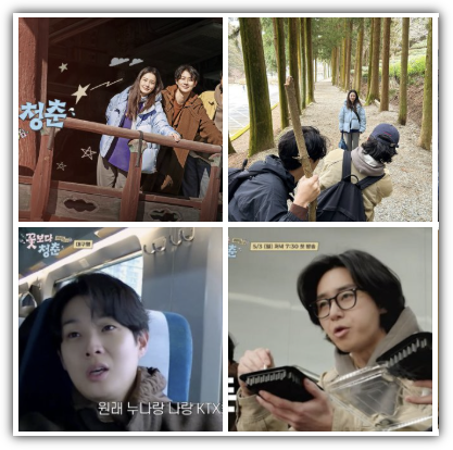 꽃보다 청춘 리미티드, 촬영지, 남원 한옥, 보성 녹차밭, 위치, 시청률, 반응 총정리