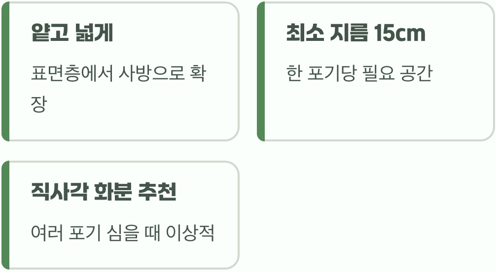 뿌리의 깊이보다 중요한 너비