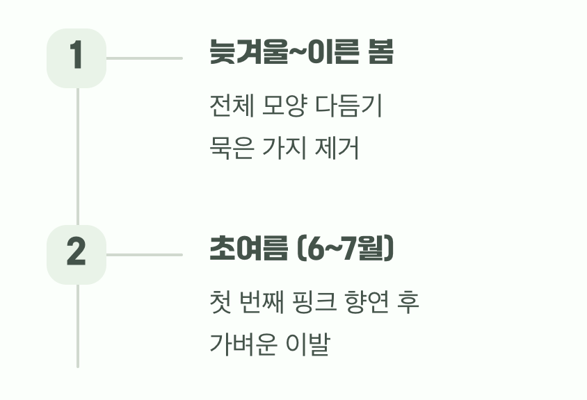 잠자는 핑크를 깨우는 주문, '가지치기'