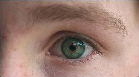 정면을 응시하고 있는 눈