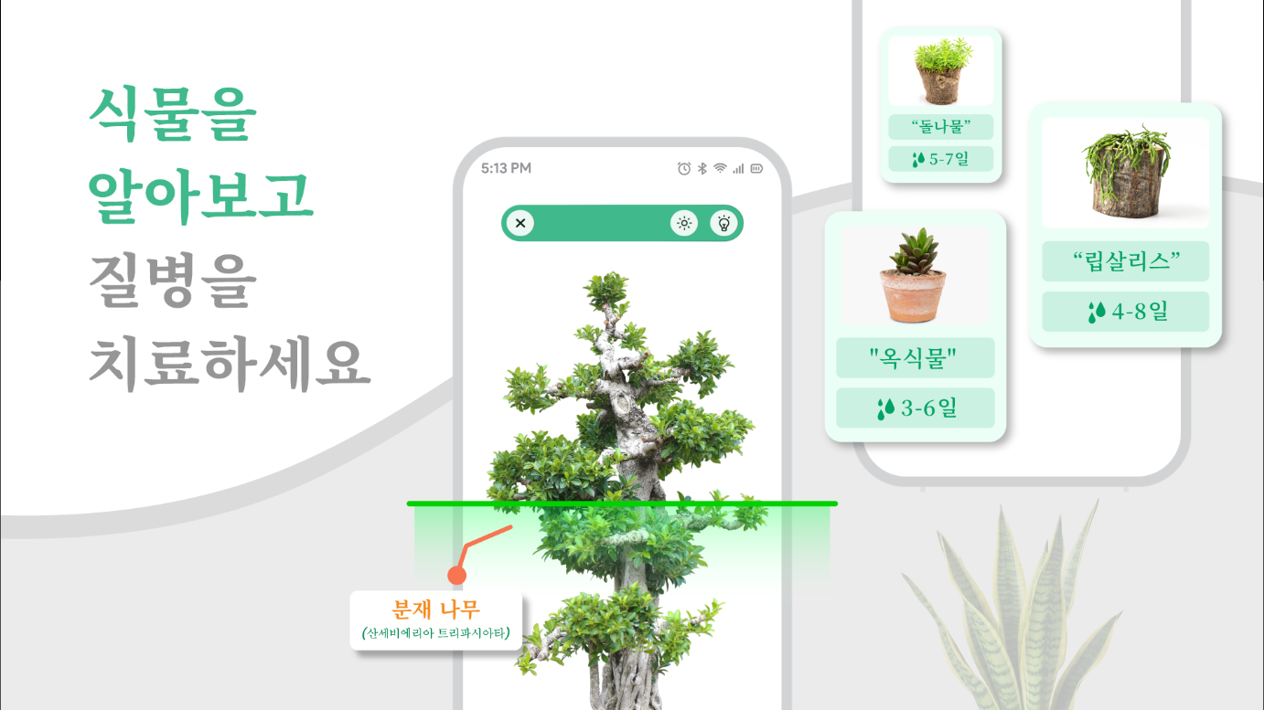식물이름 찾기 앱 무료 다운로드