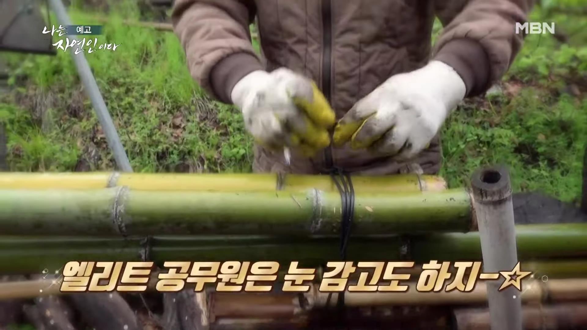 나는 자연인이다 42년 공무원 출신 산야초 대통밥 봄 나물 전 행복산 사랑동사무소 자연인 강이규 소개 및 이승윤 출연 552회 다시보기