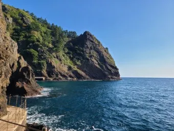 울릉도 여행 코스 배편 숙소 버스 동선으로 여유 있게_11