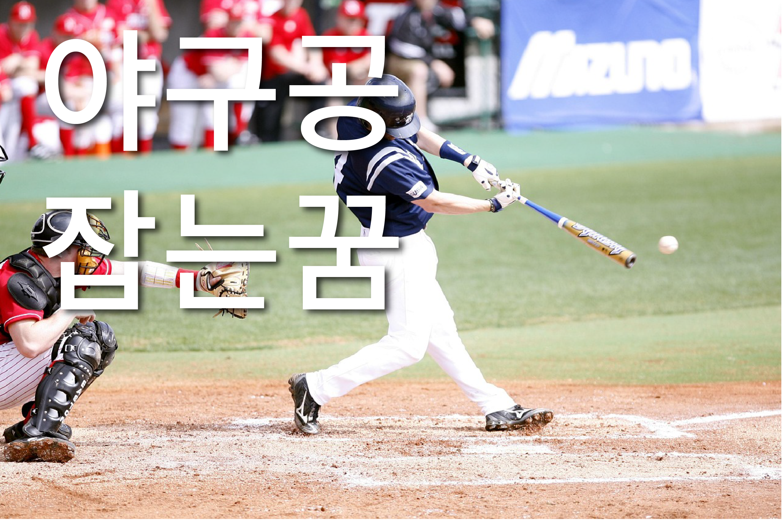 야구공잡는꿈해몽