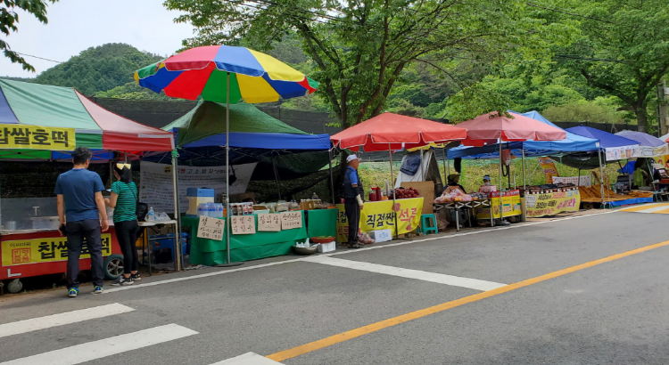 월영산 출렁다리