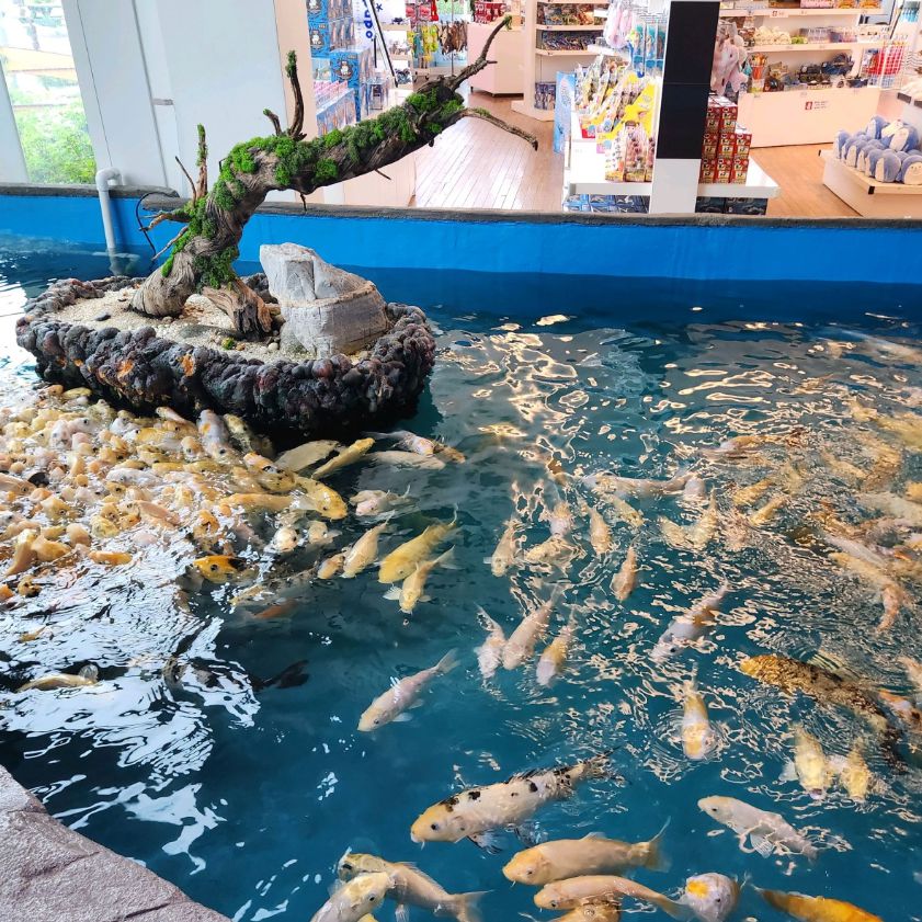 경포아쿠아리움