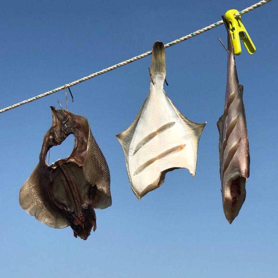 학암포해수욕장