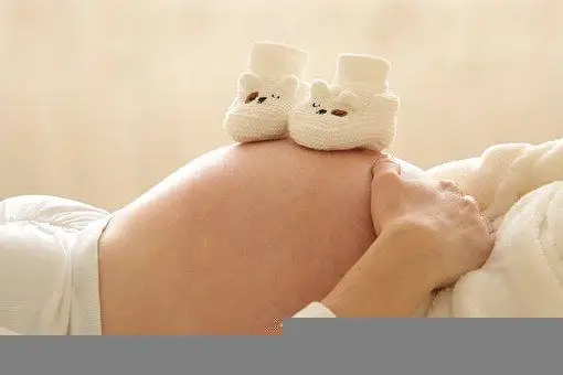 서울시 임산부 교통비 지원