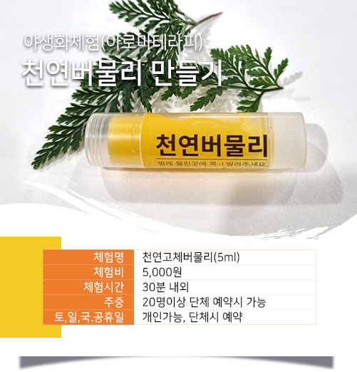 천연고체버물리