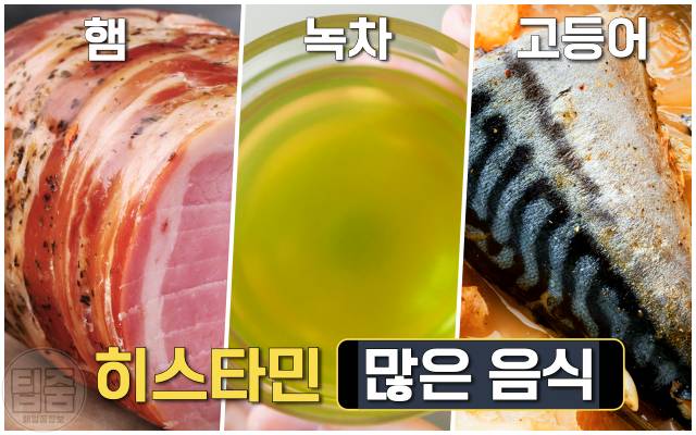 피부가 가려운 이유 히스타민 많은 음식,가려움증 원인