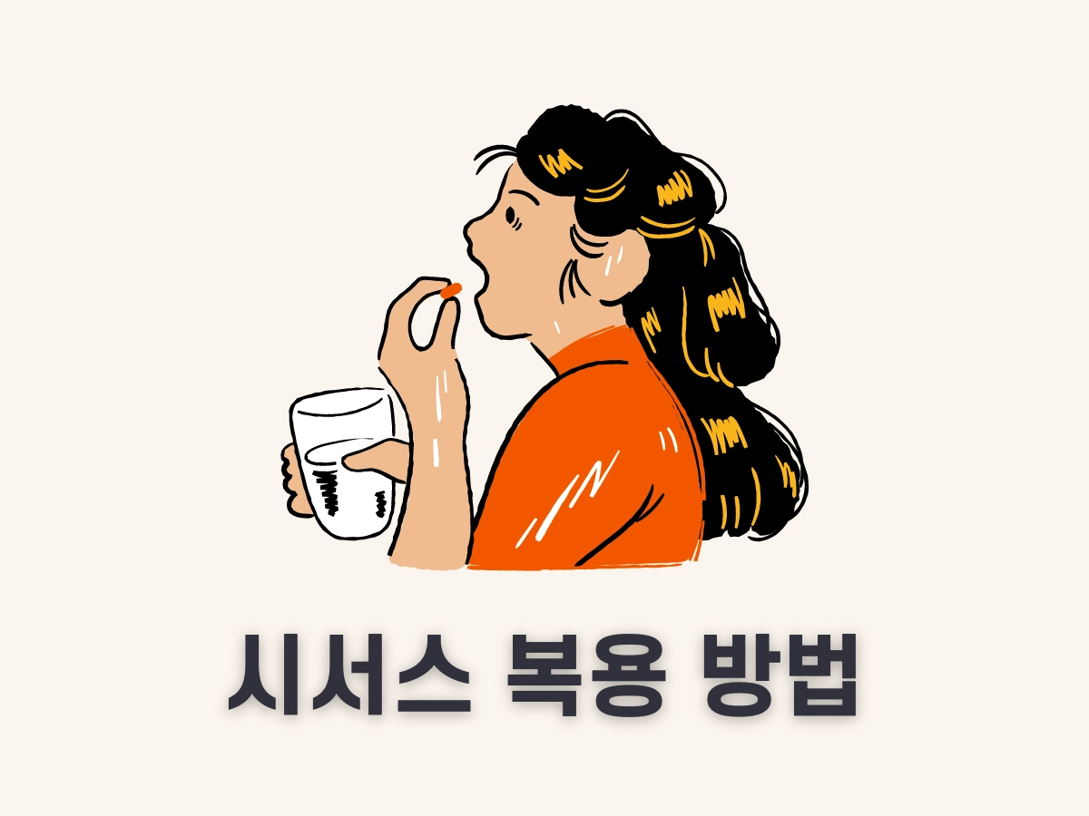 시서스 복용 방법