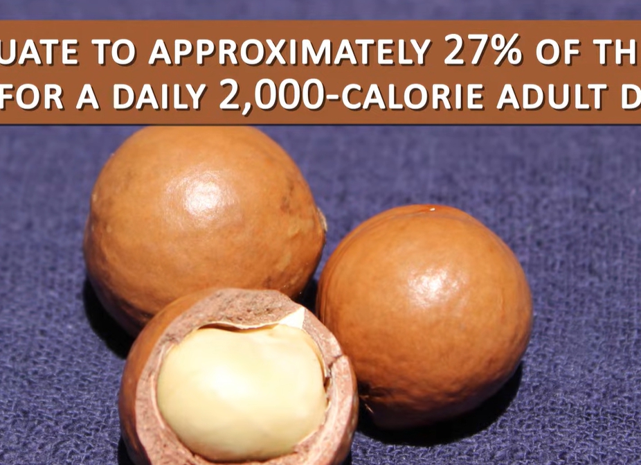 마카다미아의 효능