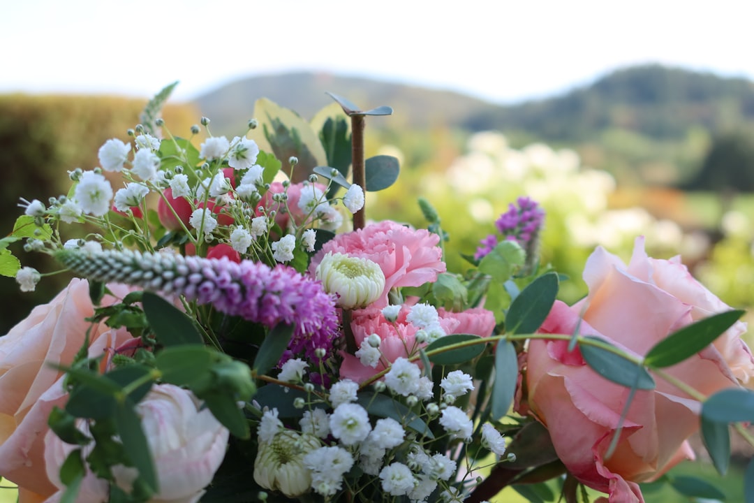 Arrangement.