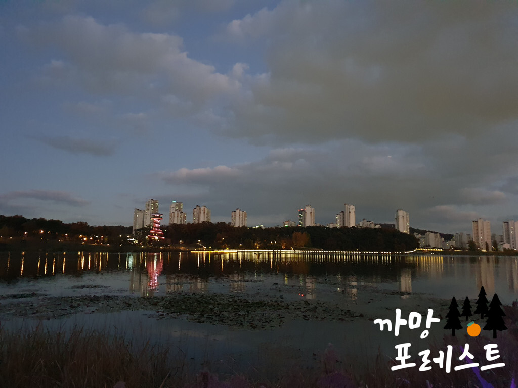 광교호수공원 야경