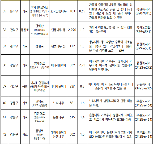 서울 단풍길 99선 소개