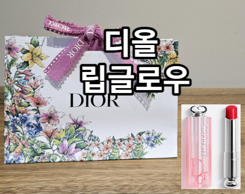 디올립글로우와 포장가방