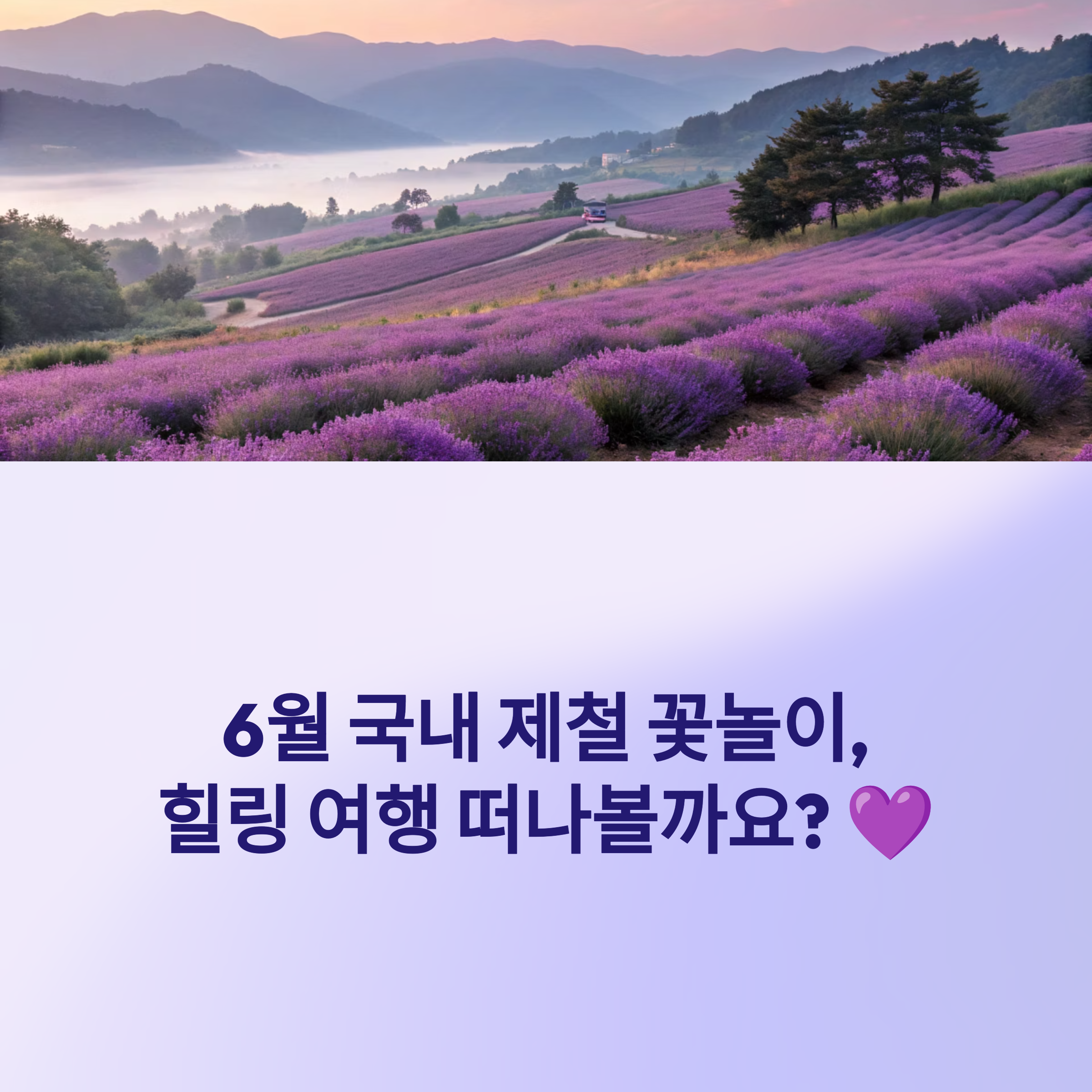 6월 국내 꽃놀이 명소 BEST 5