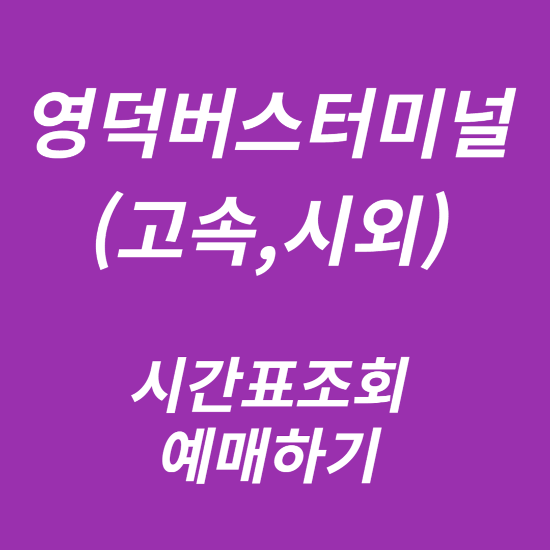 영덕버스터미널 시간표조회, 예매