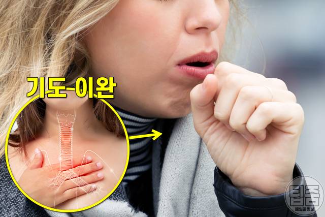 코코아 효능,코코아가루 효능,기침에 좋은 음식