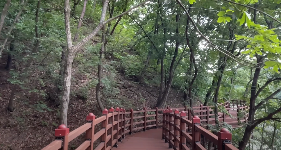 물위에 자리하고 기슭의 곡선을 따라 데크의 길도 이어져서 우거진 나무 아래의 그늘에서 시원하게 걸을 수 있습니다.