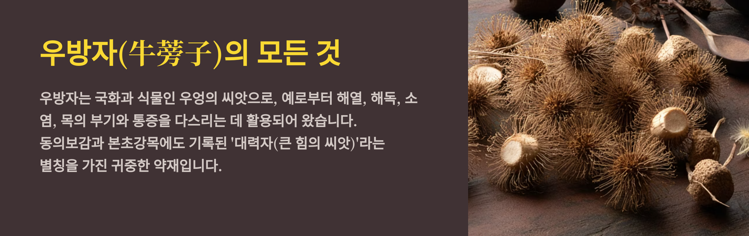 우방자