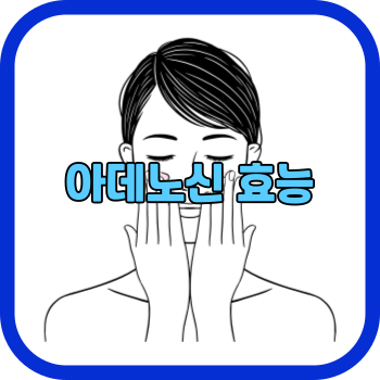 아데노신 효능