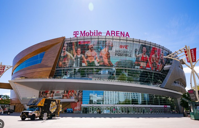 UFC 317: 톱리아 vs 올리베이라 경기