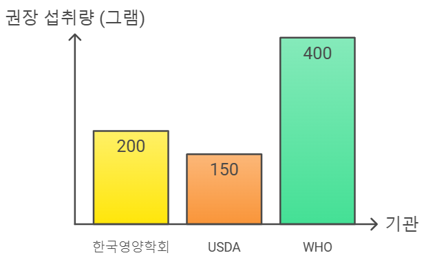 여성을 위한 일일 과일 섭취 권장량