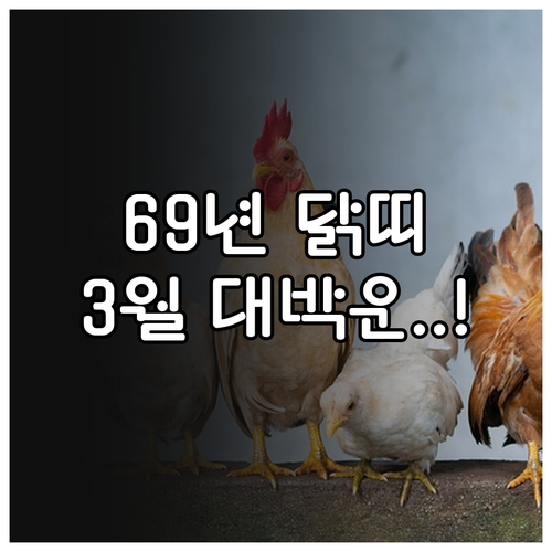 1969년생 닭띠 2026년 3월 운..