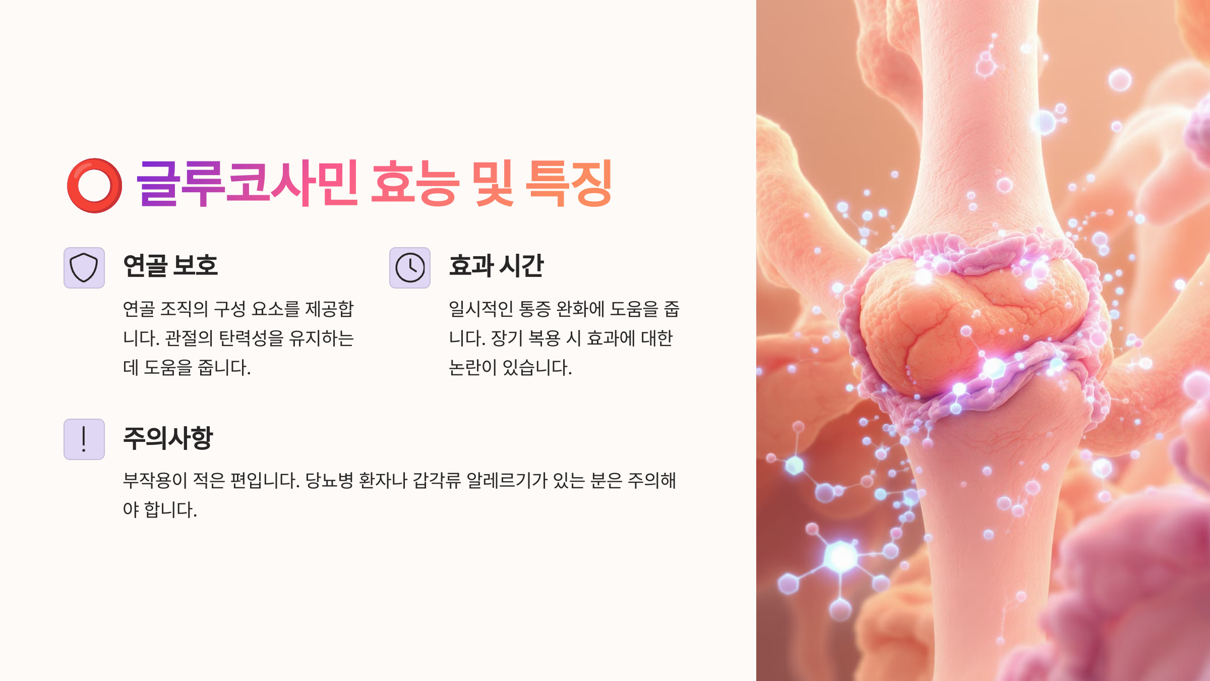 무릎 관절염 영양제 글루코사민 vs MSM 비교 장단점