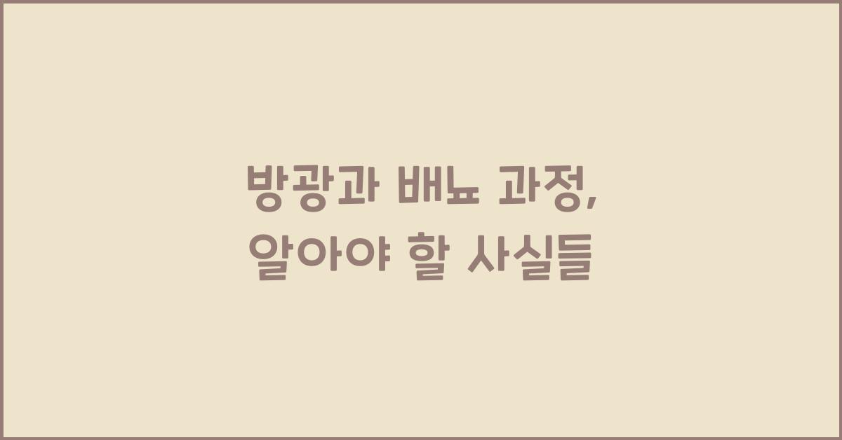 방광과 배뇨 과정