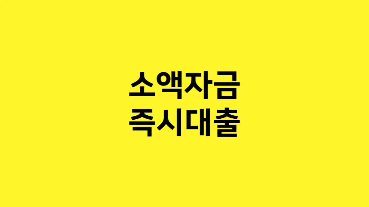 소액-대출